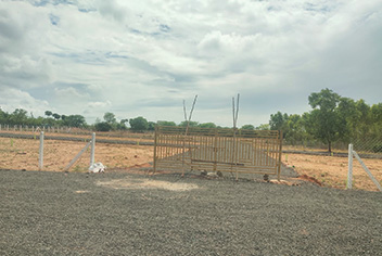 Srivenkateswara Gardens